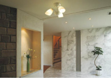 KOIZUMI   Ǯ Ǯ Ǯ Ǯץȥ AHE570388