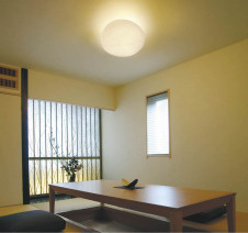 KOIZUMI �������� �������� �����ָ���������� ���� �ָ������ŵ忧��  AHN500030