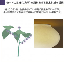 KOIZUMI �������� �������� �����ָ���������� ���� �ָ������ŵ忧��  AHN500030