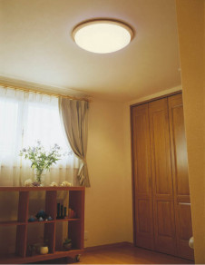 KOIZUMI �������� �������� �ָ���������� �ָ���������� �ָ��������򿧡�  AHN539128