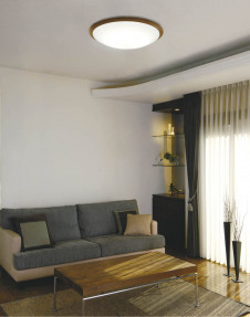 KOIZUMI �������� �������� �ָ���������� �ָ���������� �ָ������ŵ忧��  AHN539226