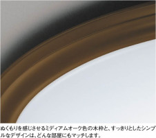 KOIZUMI �������� �������� �ָ���������� �ָ���������� �ָ������ŵ忧��  AHN539230