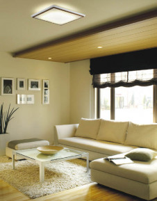 KOIZUMI   ָ ָ ָ򿧡  AHN539244