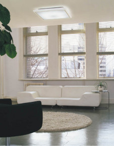 KOIZUMI �������� �������� �ָ���������� �ָ���������� �ָ������ŵ忧��  AHN539247