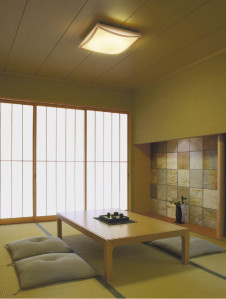 KOIZUMI �������� �������� �����ָ���������� ���� �ָ��������򿧡�  AHN539410