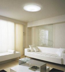 KOIZUMI   ָ ָ ָŵ忧  AHN539415