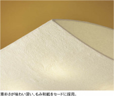 KOIZUMI   ָ  ָŵ忧  AHN600014