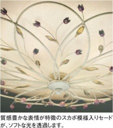 KOIZUMI �������� �������� ����ॷ����� �ָ���������� �ָ������ŵ忧��  AHN600090