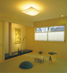 KOIZUMI �������� �������� �����ָ���������� ���� �ָ������ŵ忧��  AHN635042