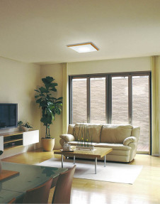 KOIZUMI �������� �������� �ָ���������� �ָ���������� �ָ������ŵ忧��  AHN635248