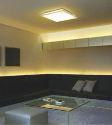 KOIZUMI �������� �������� �ָ���������� �ָ���������� �ָ������ŵ忧��  AHN635260