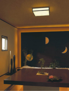 KOIZUMI �������� �������� �����ָ���������� ���� �ָ������ŵ忧��  AHN635363