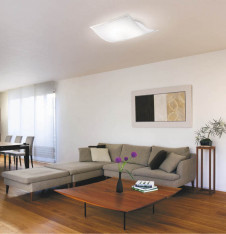 KOIZUMI �������� �������� �ָ���������� �ָ���������� �ָ��������򿧡�  AHN636137