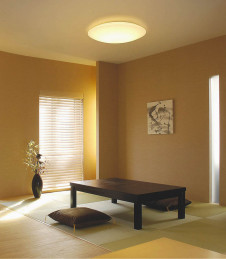 KOIZUMI �������� �������� �����ָ���������� ���� �ָ��������򿧡�  AHN636210