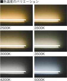 KOIZUMI �������� �������� ŷ��ľ�մ�� �ָ����������   AHN930088
