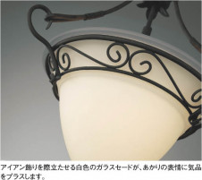 KOIZUMI �������� �������� ��Ǯ���ڥ����� �����ǥꥢ ��Ǯ�� ��Ǯ����ץȥ�� APE610027