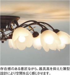 KOIZUMI �������� �������� �����ڥ����� �ڥ����� ��Ǯ�� ��Ǯ����ץȥ�� APE610259