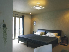 KOIZUMI �������� �������� �ָ����ڥ����� �ڥ����� �ָ��������򿧡�  APN515204