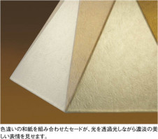 KOIZUMI �������� �������� �����ָ����ڥ����� ���� �ָ������ŵ忧��  APN615137