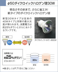 KOIZUMI �������� �������� ���ݥåȥ饤�ȡʥե�󥸡� ���ݥåȥ饤��  ��Ǯ�ϥ������ ASE940318
