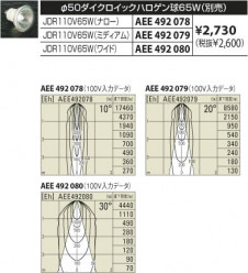 KOIZUMI �������� �������� ���ݥåȥ饤�ȡʥե�󥸡� ���ݥåȥ饤��  ��Ǯ�ϥ������ ASE940318