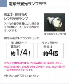 KOIZUMI �������� �������� ���ݥåȥ饤�ȡʥե�󥸡� ���ݥåȥ饤�� �ָ������ŵ忧��  ASN640009