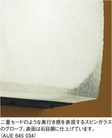 KOIZUMI �������� �������� �ɱ��ɼ����֥饱�å� �����ȥɥ��饤�� ��Ǯ�� ��Ǯ����ץȥ�� AUE645034