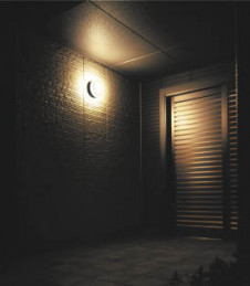 KOIZUMI �������� �������� �ɱ����֥饱�å� �����ȥɥ��饤�� ��Ǯ�� ��Ǯ����ץȥ�� AUE645185