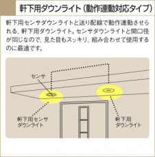 KOIZUMI �������� �������� �����ѥ�����饤�� �����ȥɥ��饤�� ��Ǯ�� ��Ǯ����ץȥ�� AUE650443