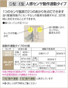 KOIZUMI   ɱ֥饱å ȥɥ饤 ָŵ忧  AUN545373