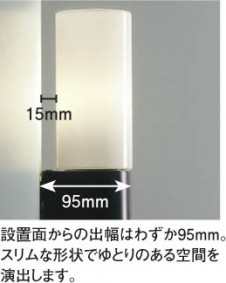 KOIZUMI �������� �������� �ɱ����֥饱�å� �����ȥɥ��饤�� �ָ������ŵ忧��  AUN645180