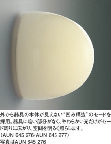 KOIZUMI   ɼ֥饱å Ἴ ָŵ忧  AUN645277