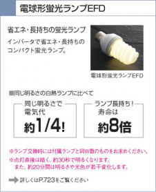 KOIZUMI �������� �������� �ɱ����֥饱�å� �����ȥɥ��饤�� �ָ������ŵ忧��  AUN645423