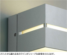 KOIZUMI �������� �������� �ɱ����֥饱�å� �����ȥɥ��饤�� �ָ������ŵ忧��  AUN646110