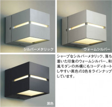 KOIZUMI �������� �������� �ɱ����֥饱�å� �����ȥɥ��饤�� �ָ������ŵ忧��  AUN646115