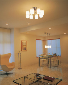 ODELIC �����ǥ�å� OC006675L OC006675L �����ǥꥢ �ָ��� �ŵ���ָ���EFA ����ץ����� �ѥ֥�å� �����ǥꥢ ������ 10��12��|�����ǥꥢ ������ �ָ���