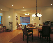 ODELIC �����ǥ�å� OC006688L OC006688L �����ǥꥢ �ָ��� �ŵ���ָ���EFA ���饷�å������쥬���|�ʥ����롦����ȥ꡼ �ѥ֥�å� �����ǥꥢ ������ 4.5��6��|�����ǥꥢ ������ �ָ���