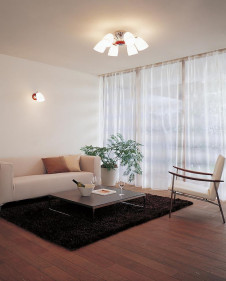 ODELIC �����ǥ�å� OC006704L OC006704L �����ǥꥢ �ָ��� �ŵ���ָ���EFA ����ץ�����|�ʥ����롦����ȥ꡼ �ѥ֥�å� �����ǥꥢ ������ 8��10��|�����ǥꥢ ������ �ָ���