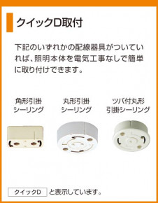 ODELIC �����ǥ�å� OL013306 OL013306 ������󥰥饤�� ��Ǯ�� �����ŵ�  �ץ饤�١���|��ư����|����� ������󥰥饤�� ������ ��Ǯ��