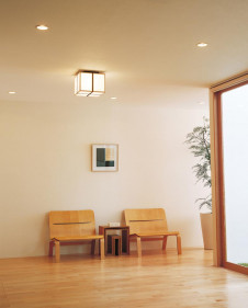 ODELIC �����ǥ�å� OL014093 OL014093 ������󥰥饤�� ��Ǯ�� �����ŵ� ���� �¼�|�ץ饤�١��� �����б����� ������󥰥饤�� ������ ��Ǯ��