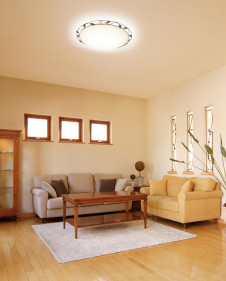 ODELIC ǥå OL211534N OL211534N 󥰥饤 ָ Ĺ̿ݷָFHC(48W+38W) ץ|饷å쥬|ʥ롦ȥ꡼ ץ饤١|ѥ֥å 󥰥饤  810|󥰥饤  ָ