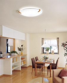 ODELIC �����ǥ�å� OL211541N OL211541N ������󥰥饤�� �ָ��� Ĺ��̿�ݷ��ָ���FHC(48W+28W) ����ץ�����|�ʥ����롦����ȥ꡼ �ץ饤�١���|�ѥ֥�å� ������󥰥饤�� ������ 6��8��|������󥰥饤�� ������ �ָ���