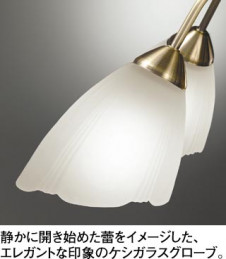 ODELIC �����ǥ�å� OC006487L OC006487L �����ǥꥢ �ָ��� �ŵ���ָ���EFA ���饷�å������쥬��� �ѥ֥�å� �����ǥꥢ ������ 8��10��|�����ǥꥢ ������ �ָ���