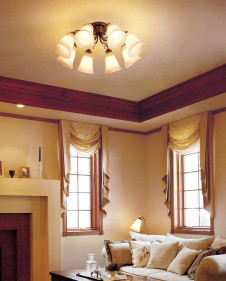 ODELIC ǥå OC006559L OC006559L ǥꥢ ָ ŵָEFA 饷å쥬|ʥ롦ȥ꡼ ѥ֥å ǥꥢ  1012|ǥꥢ  ָ