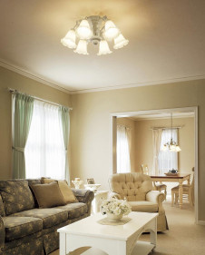 ODELIC �����ǥ�å� OC006642L OC006642L �����ǥꥢ �ָ��� �ŵ���ָ���EFA ���饷�å������쥬���|�ʥ����롦����ȥ꡼ �ѥ֥�å� �����ǥꥢ ������ 4.5��6��|�����ǥꥢ ������ �ָ���