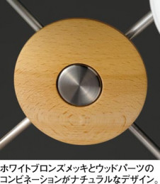 ODELIC �����ǥ�å� OC006813L OC006813L �����ǥꥢ �ָ��� �ŵ���ָ���EFA ����ץ�����|�ʥ����롦����ȥ꡼ �ѥ֥�å� �����ǥꥢ ������ 8��10��|�����ǥꥢ ������ �ָ���