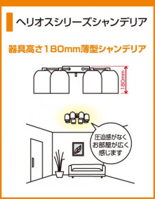 ODELIC �����ǥ�å� OC006813L OC006813L �����ǥꥢ �ָ��� �ŵ���ָ���EFA ����ץ�����|�ʥ����롦����ȥ꡼ �ѥ֥�å� �����ǥꥢ ������ 8��10��|�����ǥꥢ ������ �ָ���