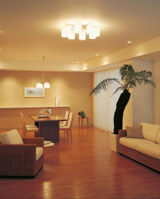 ODELIC �����ǥ�å� OC006814L OC006814L �����ǥꥢ �ָ��� �ŵ���ָ���EFA ����ץ�����|�ʥ����롦����ȥ꡼ �ѥ֥�å� �����ǥꥢ ������ 10��12��|�����ǥꥢ ������ �ָ���