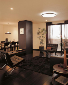 ODELIC �����ǥ�å� OL211670N OL211670N ������󥰥饤�� �ָ��� Ĺ��̿�ݷ��ָ���FHC(48W+28W) ����ץ�����|���饷�å������쥬��� �ץ饤�١���|�ѥ֥�å� ������󥰥饤�� ������ 6��8��|������󥰥饤�� ������ �ָ���