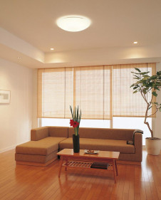 ODELIC �����ǥ�å� OL112525N OL112525N ������󥰥饤�� �ָ��� Ĺ��̿�ݷ��ָ���FHC(38W+28W) ���� �¼�|�ѥ֥�å�|�ץ饤�١��� �����б����� ������󥰥饤�� ������ 4.5��6��|�����б����� ������󥰥饤�� ������ �ָ���